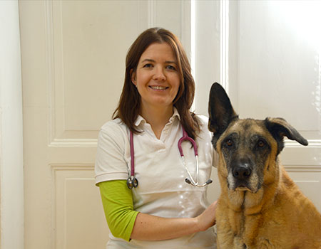 Dr. med. vet. Anke Horn